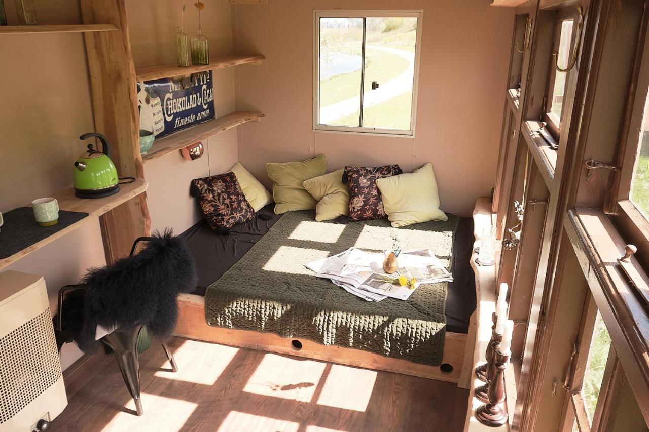 Krusmolle Glamping Hotel Aabenraa Bagian luar foto