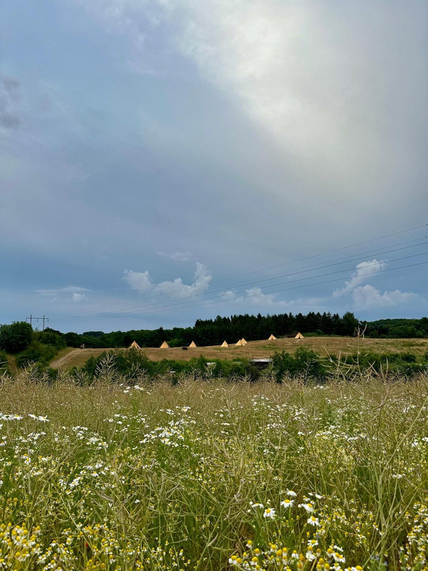 Krusmolle Glamping Hotel Aabenraa Bagian luar foto
